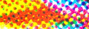 printing on plastic