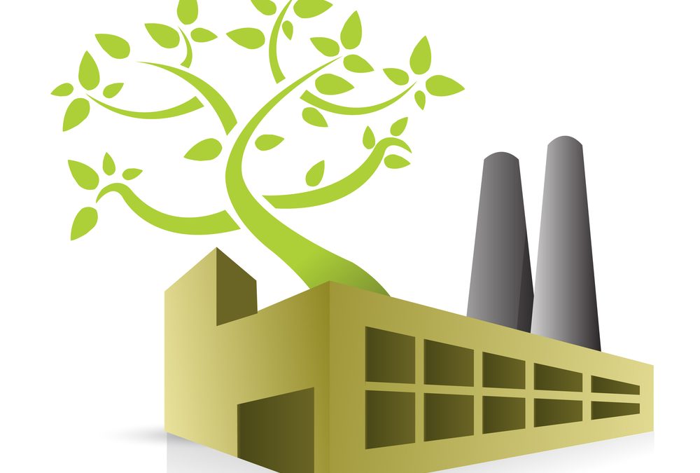 sustainable display